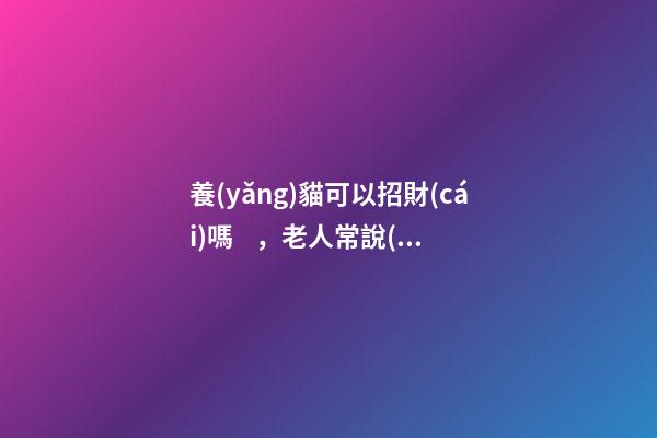 養(yǎng)貓可以招財(cái)嗎，老人常說(shuō)的“旺財(cái)貓”